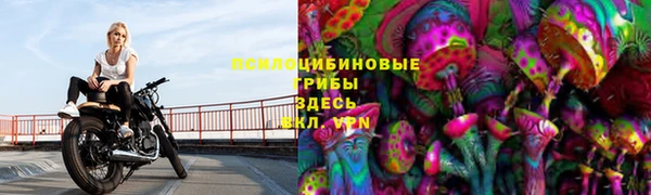 дмт Михайловск