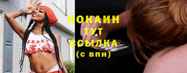 дмт Михайловск