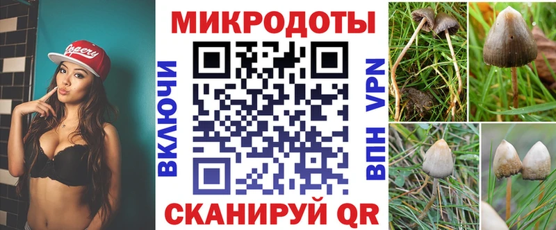 цены наркотик  Оленегорск  Галлюциногенные грибы мицелий 